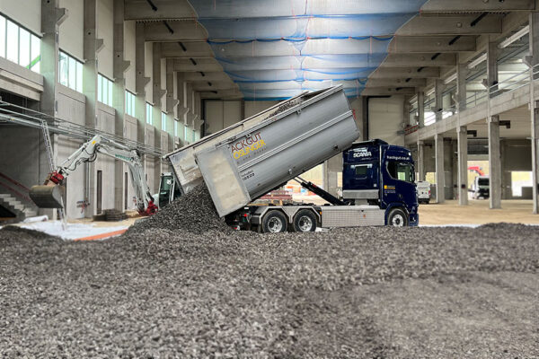 Hackgut Möslinger aus OÖ_Scania Containerzug