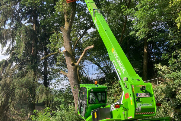 Hackgut Möslinger aus OÖ_Merlo Roto