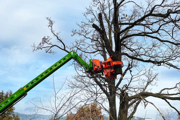 Hackgut Möslinger aus OÖ_Merlo Roto