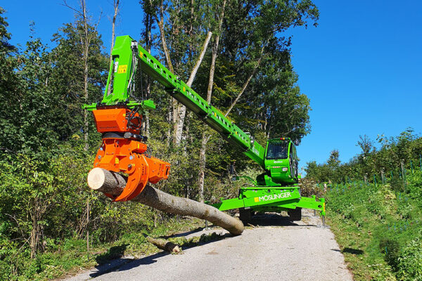 Hackgut Möslinger aus OÖ_Merlo Roto Baumabtragung
