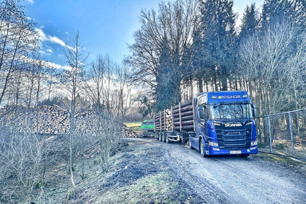 Hackgut Möslinger aus OÖ_Rungensattelzug