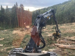 Hackgut Möslinger aus OÖ_Holzernte