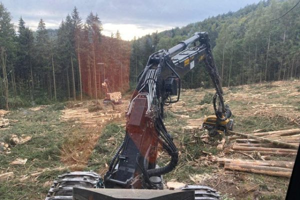 Hackgut Möslinger aus OÖ_Holzernte