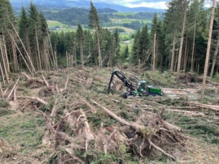 Hackgut Möslinger aus OÖ_Holzernte