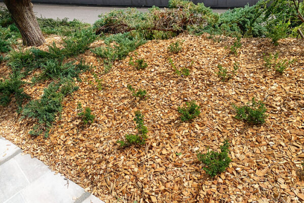 Hackgut Möslinger aus OÖ - Hackschnitzel zur Gartengestaltung